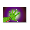 Rich Namekian